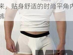 猛熊壮毛男 Gay 凸起来，贴身舒适的时尚平角内裤