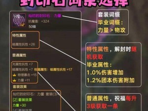 DNF魔道学者护石选择攻略：解析新护石搭配策略，魔道学者75级与80级CP护石选择指南