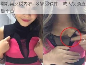 爆乳美女脱内衣 18 裸露软件，成人视频直播平台