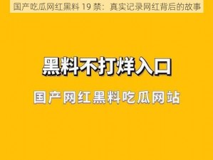 国产吃瓜网红黑料 19 禁：真实记录网红背后的故事