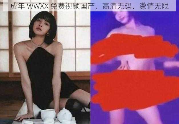 成年 WWXX 免费视频国产，高清无码，激情无限