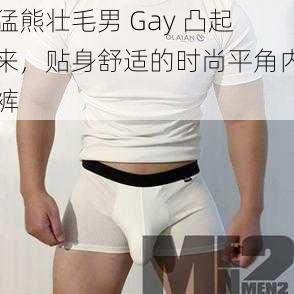 猛熊壮毛男 Gay 凸起来，贴身舒适的时尚平角内裤