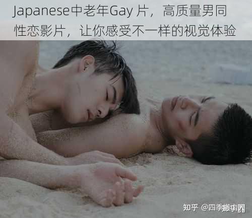 Japanese中老年Gay 片，高质量男同性恋影片，让你感受不一样的视觉体验